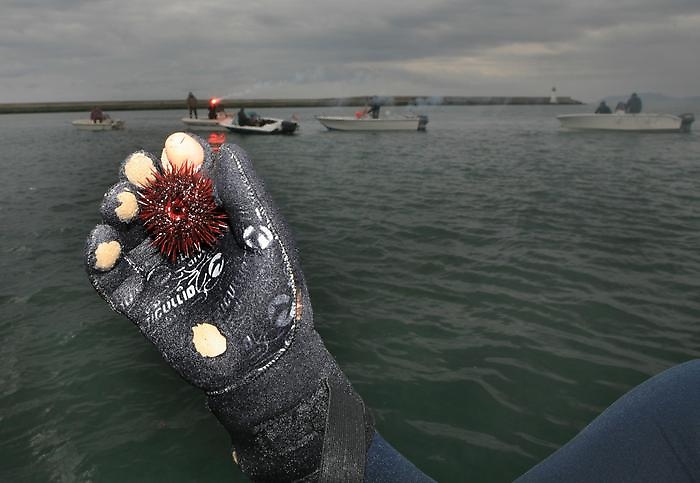 6ae9a25dfbef826c3950f8853806e30a