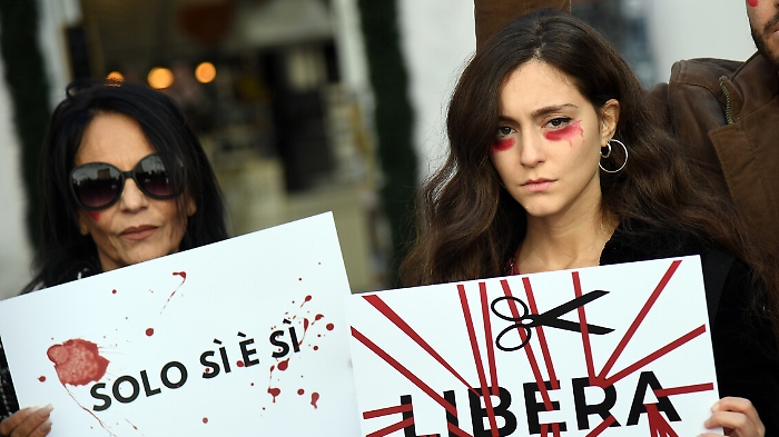 6f36ab51157c5ec97718d86e7800717b