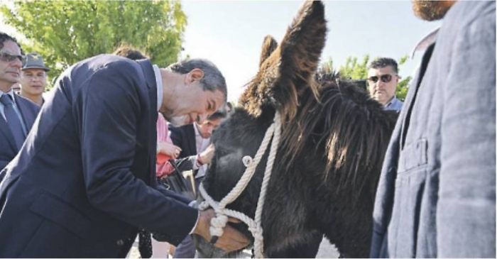 Screenshot 2023-11-02 105042