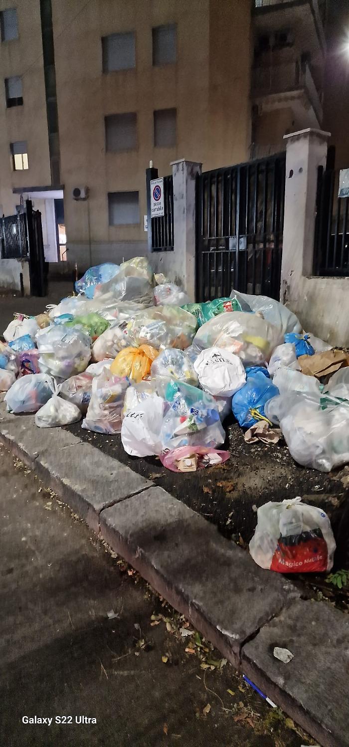 WhatsApp Image 2023-11-06 at 18.05.11