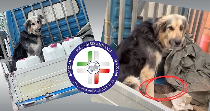 db7349ed-566c-48a4-9488-159d8d2d442b-1