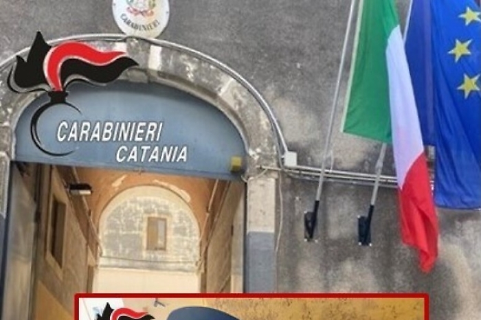 e798638b2957a9a1ca600182561e79ac