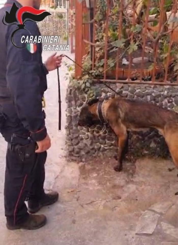 2.-FOTO-comunicato-nr.1-arresto-1-dpl-N.O.-Piazza-Dante