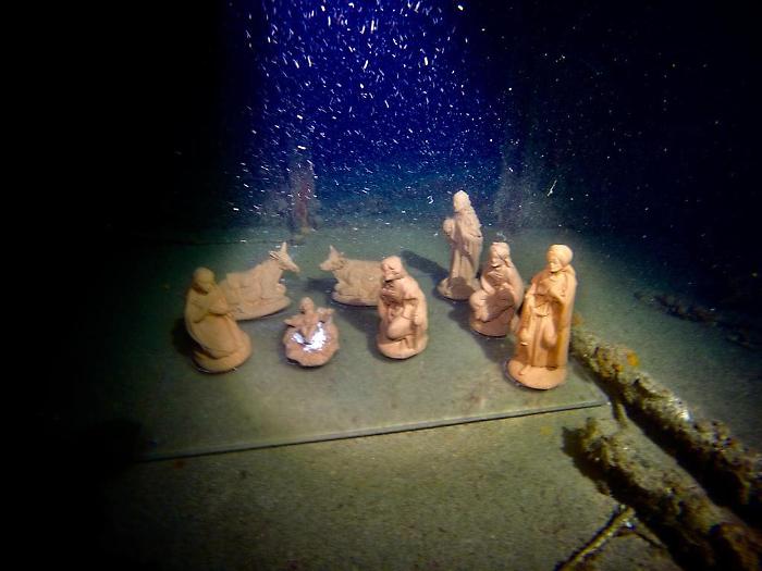 412351093_798433475627980_3257413348816516507_n