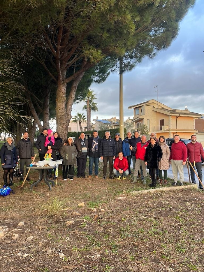 Alberi da pianturamare