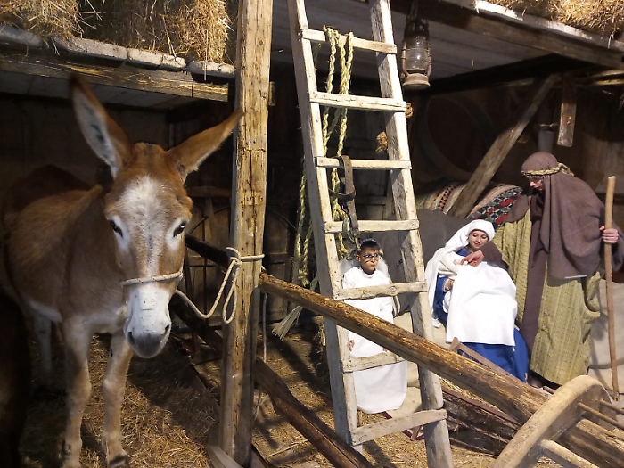 La scena della Natività