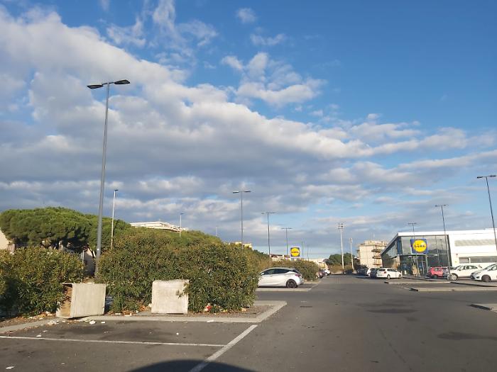 WhatsApp Image 2023-12-09 at 11.09.31