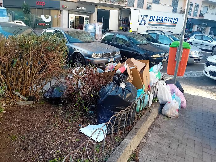 WhatsApp Image 2023-12-11 at 08.43.02