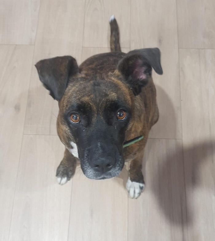 WhatsApp Image 2023-12-13 at 13.22.51