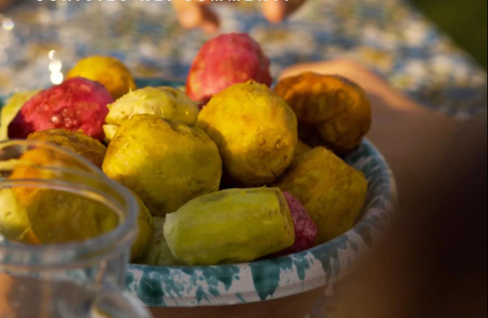 Consorzio Ficodindia Etna Dop