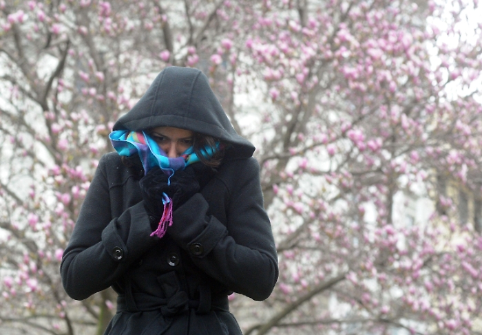 1705398002_b8100ff8fbd802c20506