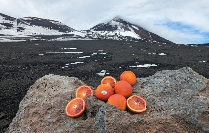 420080052_870181395115982_8611204850404183836_n