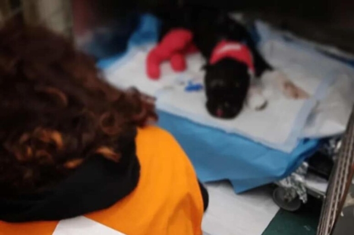 452d633b4086c39be4e0463699279647