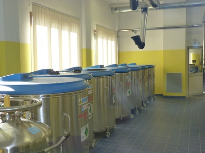 5e0fb6b2c79a57b35eb0f06b774fd959