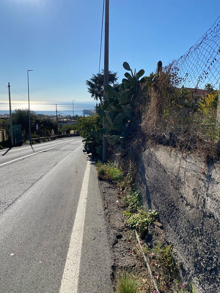 Questa &egrave; via Mannino Cefaly di Catania. Le auto sfrecciano, non c&rsquo;&egrave; marciapiede e, dulcis in fundo, questa siepe di fichidindia ha superato la striscia bianca che delimita la strada. Ci sono dovuto passare &egrave;