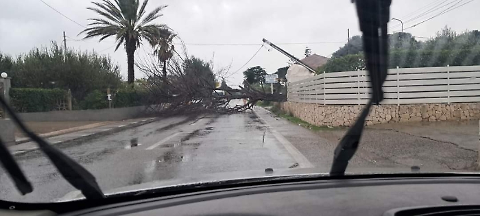 WhatsApp-Image-2024-01-06-at-12.50.08-1