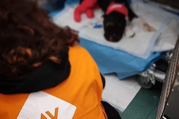 WhatsApp Image 2024-01-13 at 09.21.35