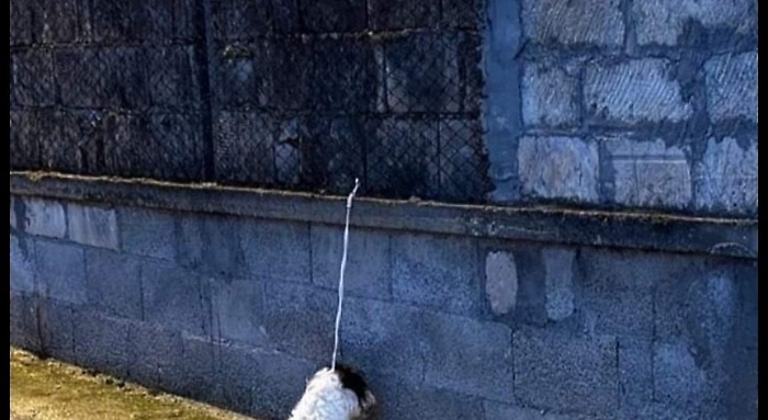 WhatsApp Image 2024-01-13 at 13.15.09 (1)