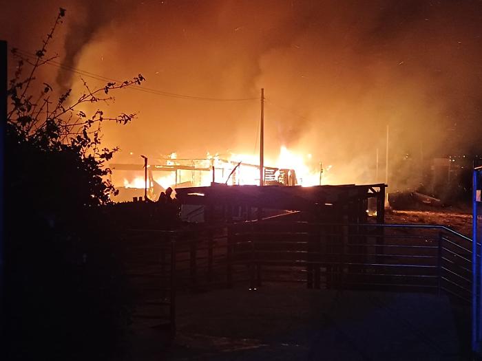 WhatsApp Image 2024-01-29 at 07.53.51