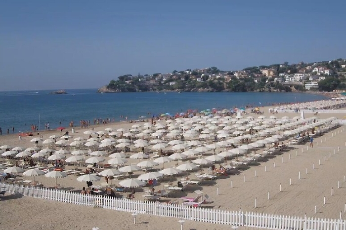 ad781f16febdde26f6f947dccdc6b5b0