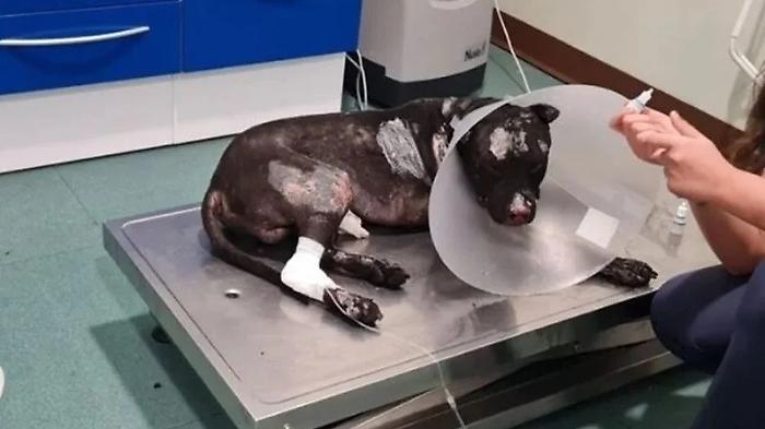 eQrYCuzzwqTTMvA-800x450-noPad_d6de9a