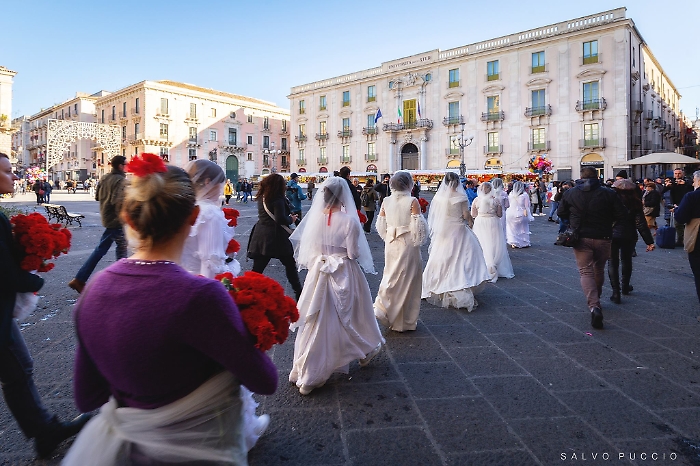 51308371_2147094472269025_6470823107115352064_n