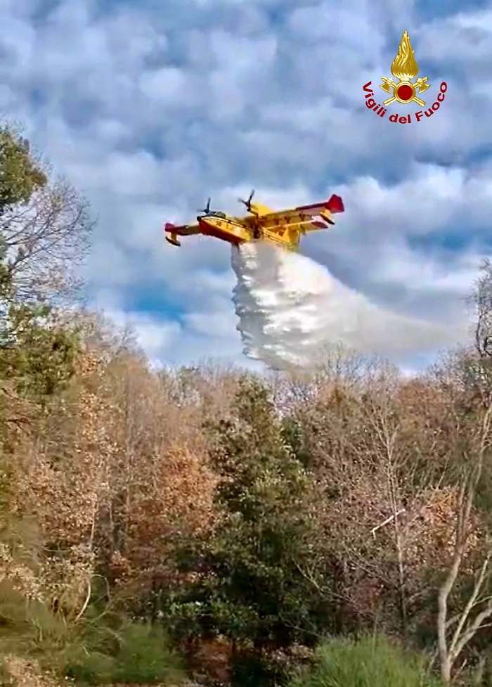 90e4dac5-bfb8-44f6-b4e6-bc46b5d2bd93