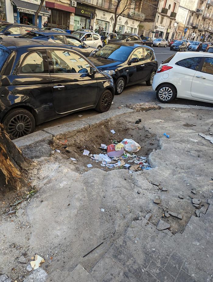 WhatsApp Image 2024-02-02 at 11.06.05