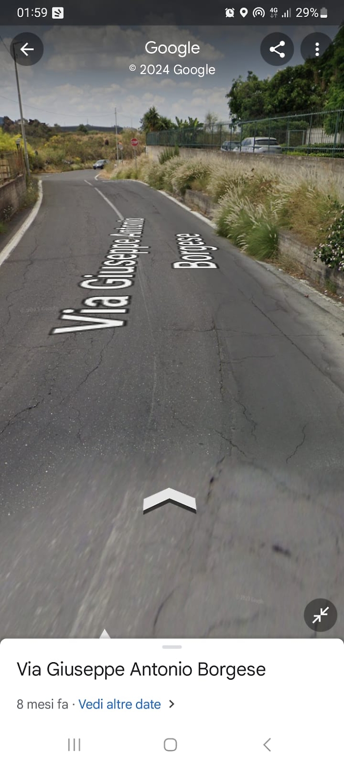 WhatsApp Image 2024-02-10 at 02.08.56