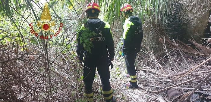 WhatsApp-Image-2024-02-10-at-17.52.45