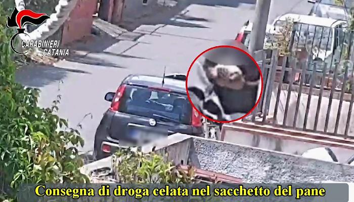 WhatsApp Image 2024-02-20 at 12.53.43