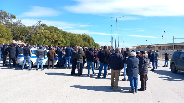 WhatsApp Image 2024-02-26 at 11.01.50