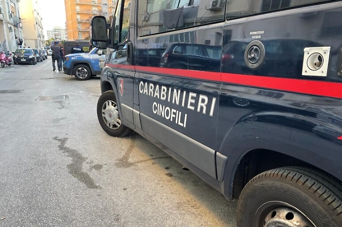 b782e2448df8dc2c2cdef3b5768b3b0b