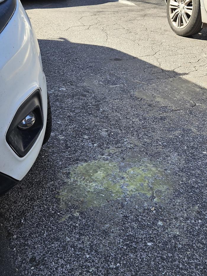 maria spampinato cera festeggiamenti agatini piazza cavour (2)