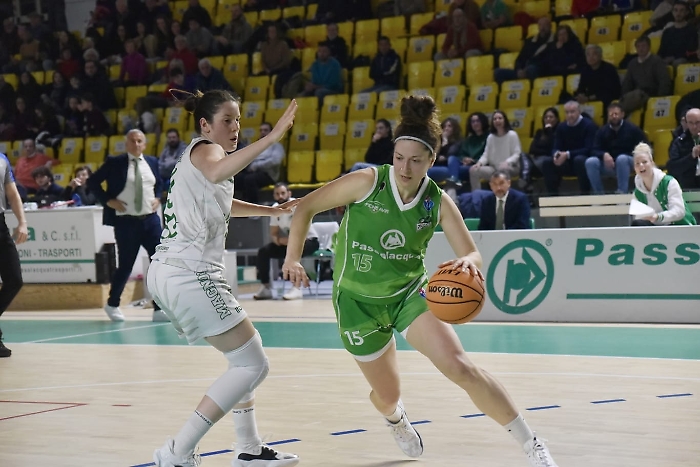 miccoli campobasso 1