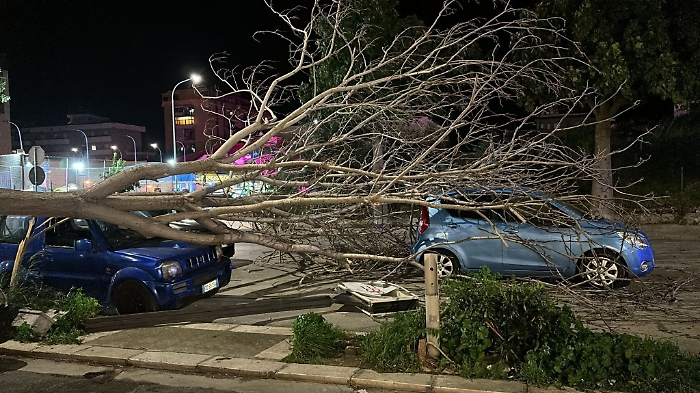 431963930_803019705187345_8990715896364075140_n