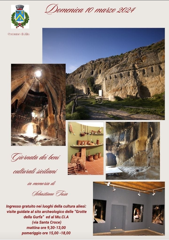 WhatsApp Image 2024-03-06 at 10.46.56