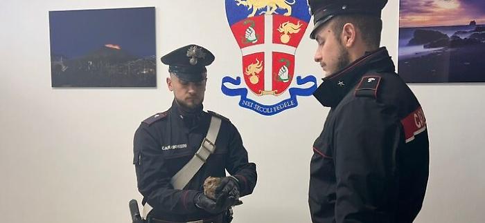 159b241321a9117b3738ea4b79b37698