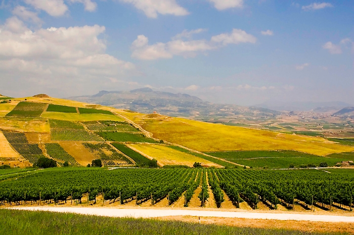 2120737113_00be80944d_b