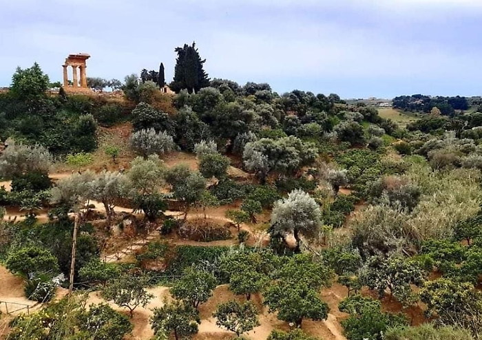 432589625_809250934573879_3570038720247020675_n