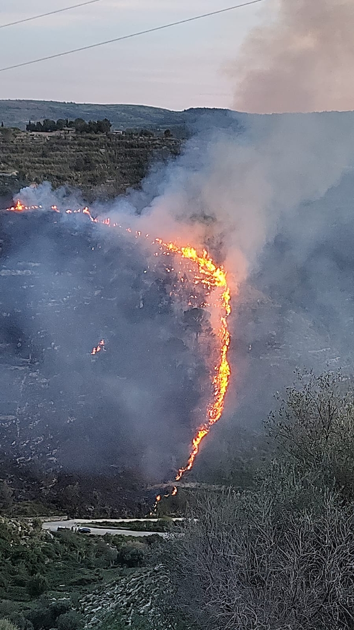 WhatsApp Image 2024-04-08 at 19.28.13