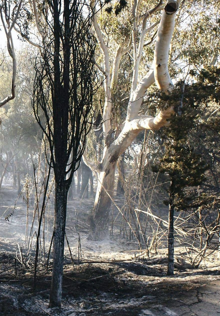 WhatsApp Image 2024-04-19 at 12.09.43