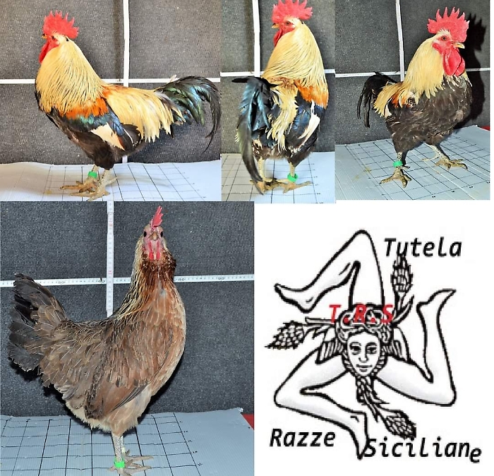 WhatsApp Image 2024-04-27 at 09.21.28