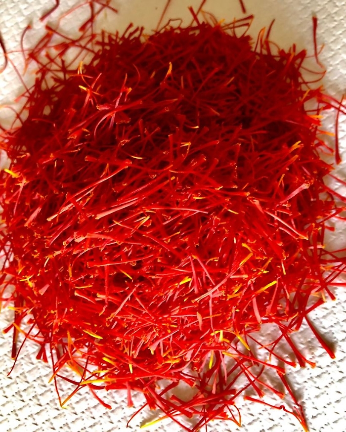 355656393_281169994431936_1359621440512654071_n