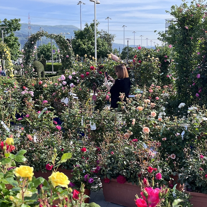 438145679_861265556020105_4824905800368760645_n