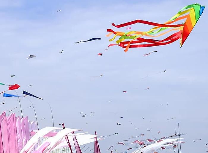 441151960_7666690320036910_4120884468969693039_n