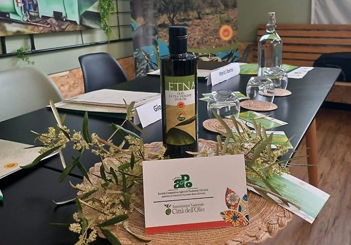 442386674_982238547236346_2437014558934848501_n