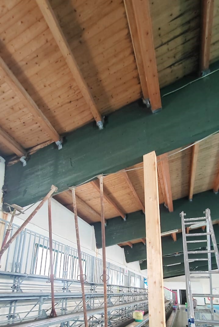 477d40bc-62b6-42c9-96d4-1144136bd7f2