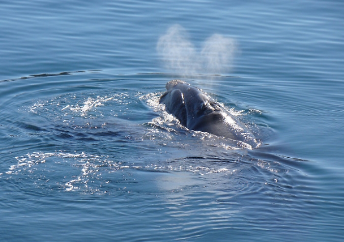 53795d8fda0d92c4635773412f4064a0