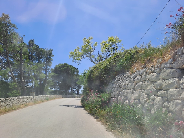 Mancata bonifica strade comunali 2